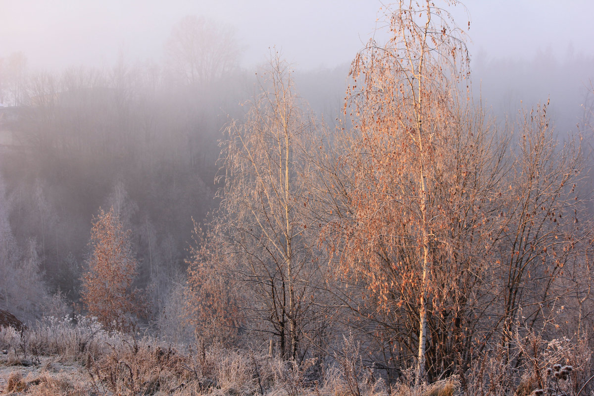 Ах, осень, осень...