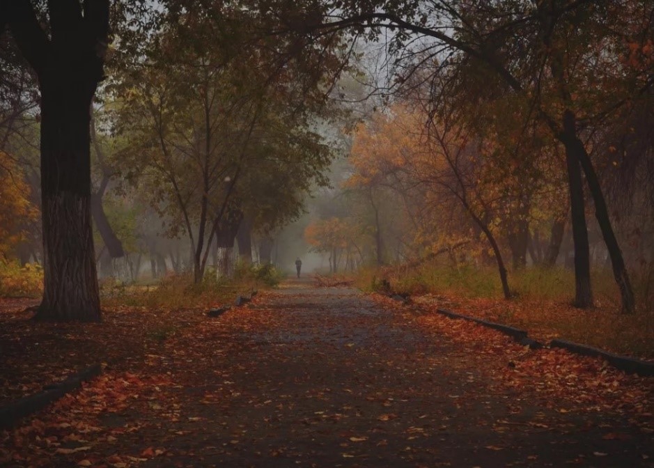 Осень угасает