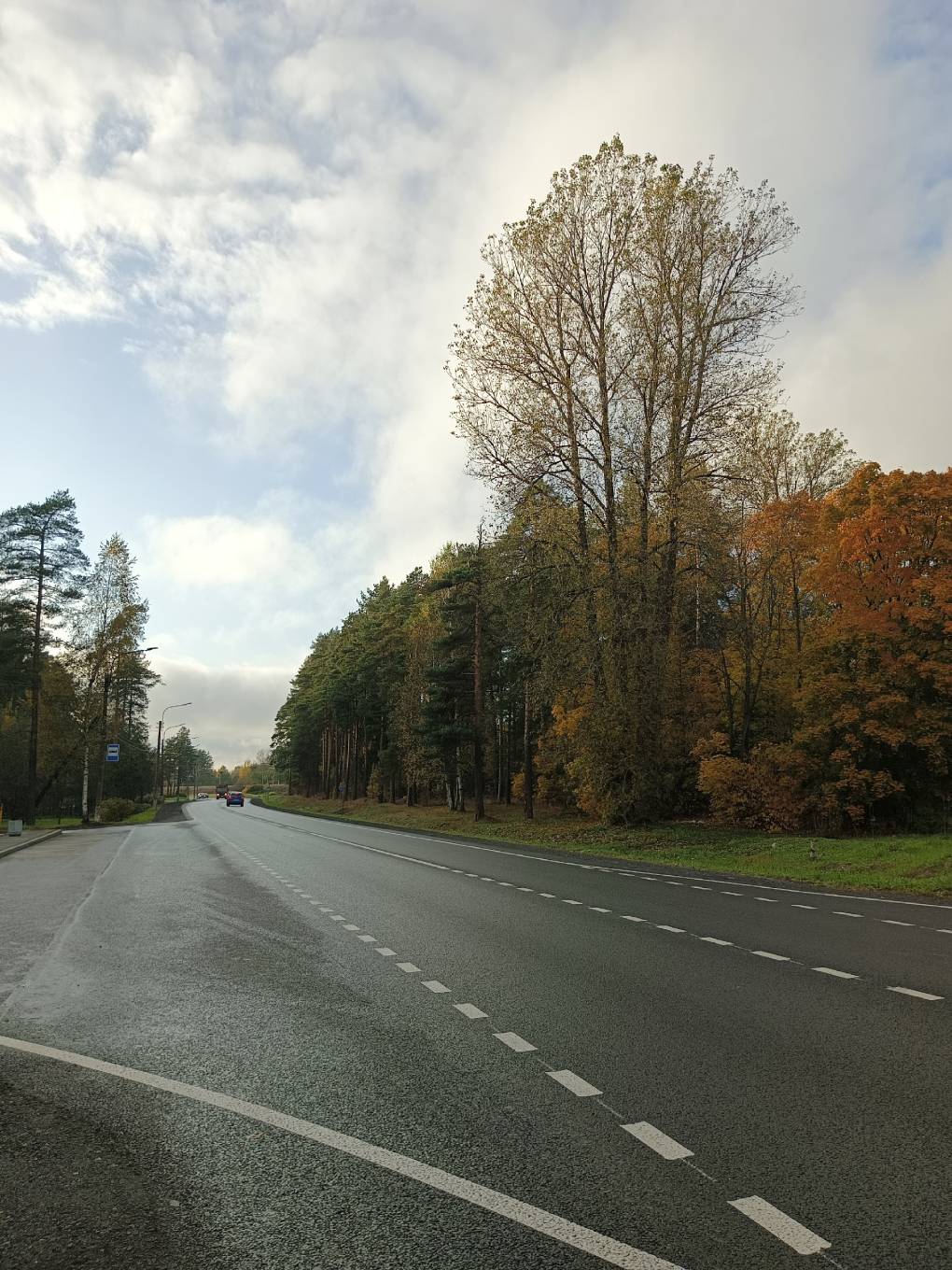 Дорога Домой