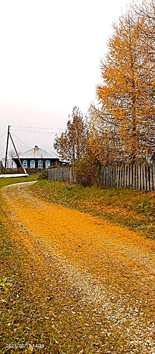 Листвянкины слёзы