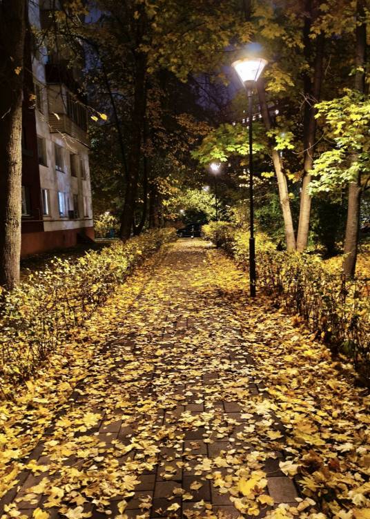 Пропал ваш солдат