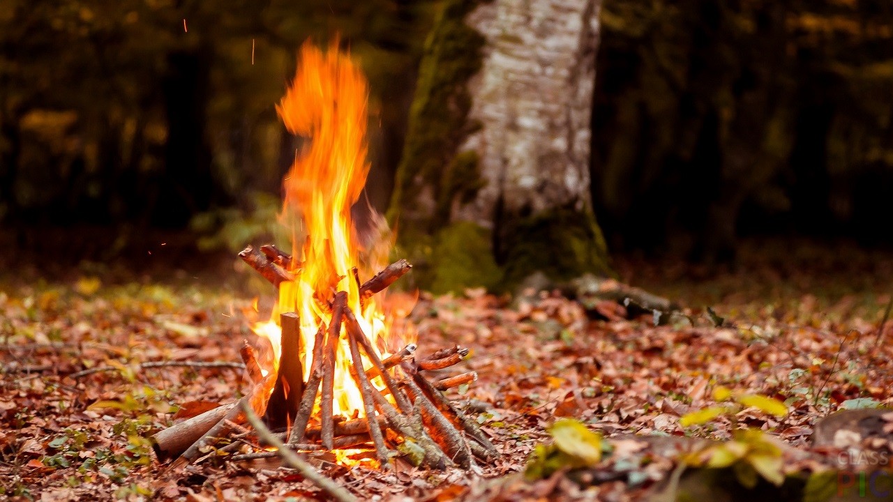 Испытание осенью