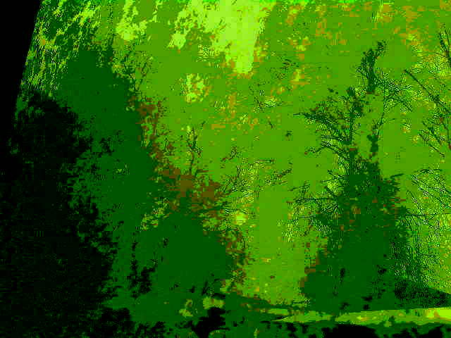 Музыка поздней осени