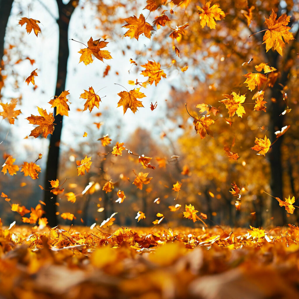 Бледнеют рыжей осени расцветки