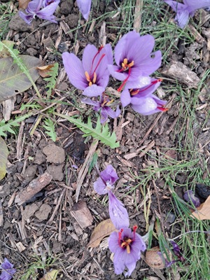 Что это такое?