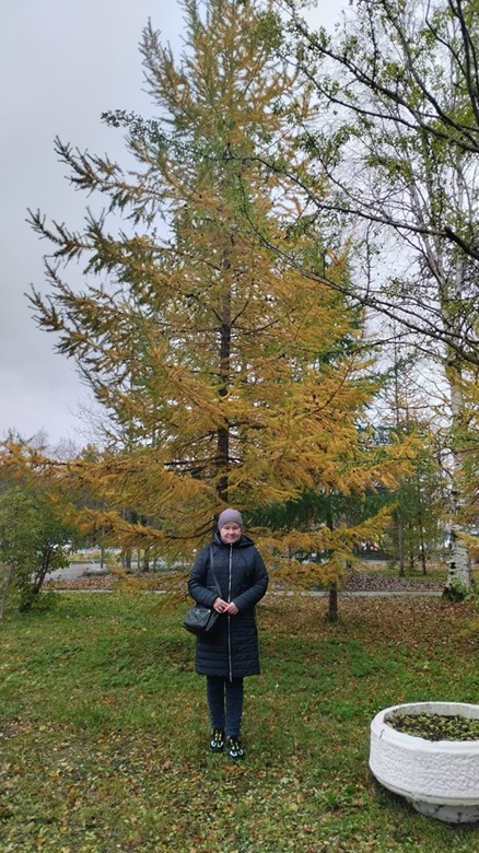 Песня. Это небо