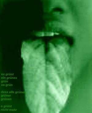 Gerhard Ruehm - es gruent ein gruenes