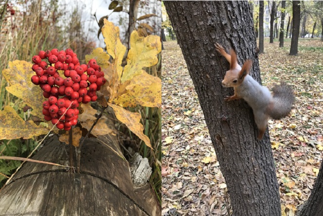 Осенняя зарисовка