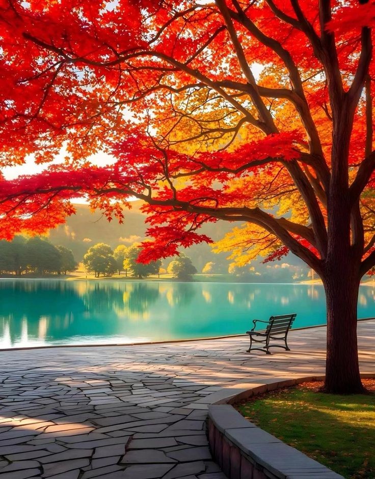 Палитра осени