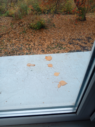 Таинственное послание