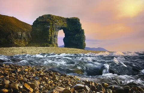 Стеллера задумчивая арка