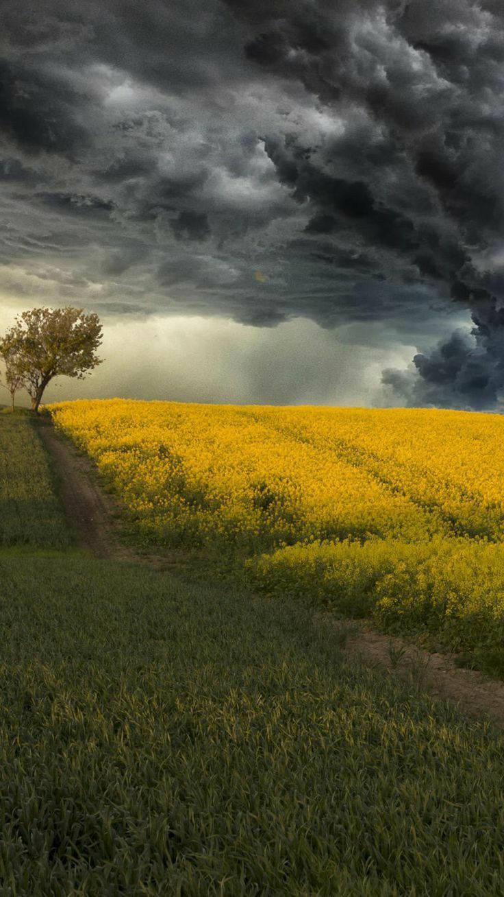 Гроза в сентябре