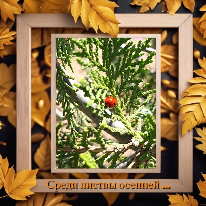 Среди осенней желтизны