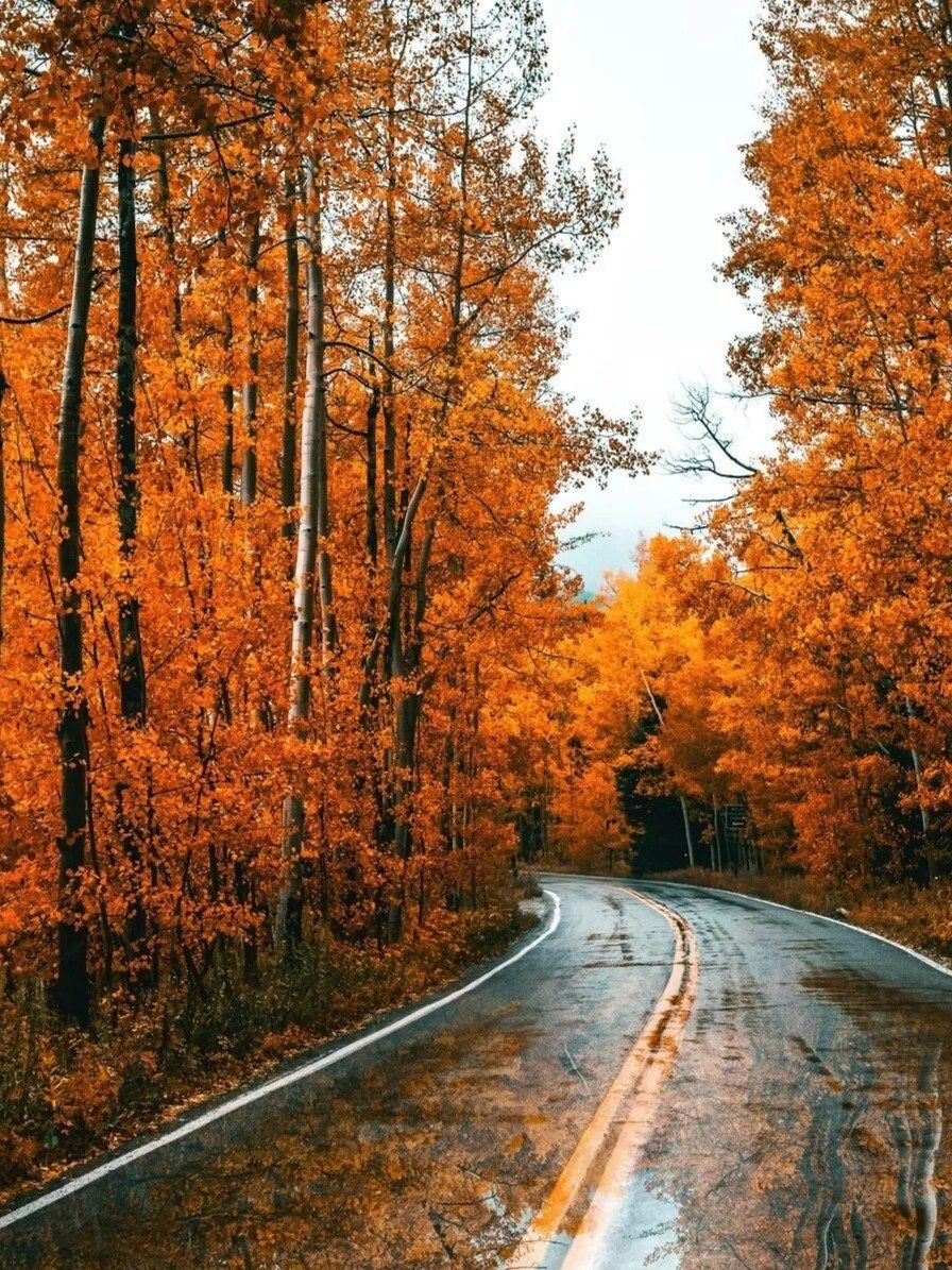 Осенние перемены