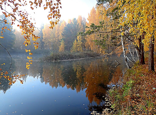 Листва опавшая, всё время шелестит