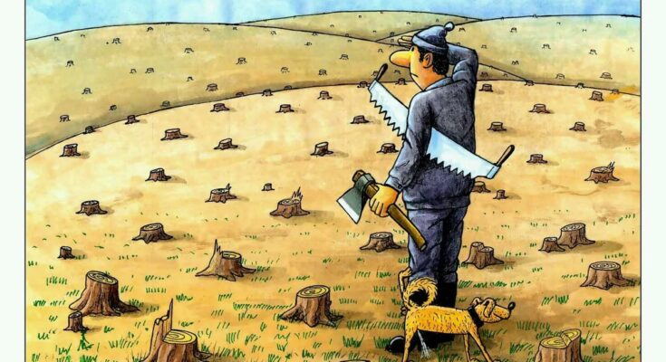 Всё - суета-сует...