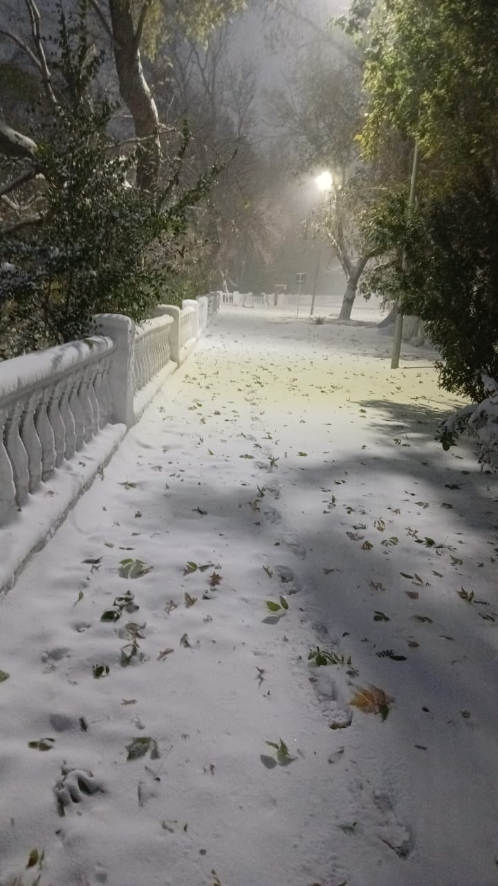 Из зазеркалья