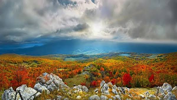 Пылают огненные краски