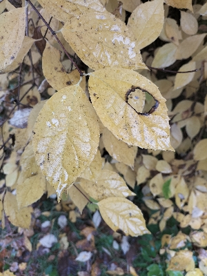 Уроки радости и грусти