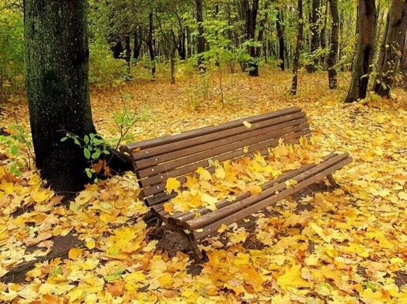 Осени каприз