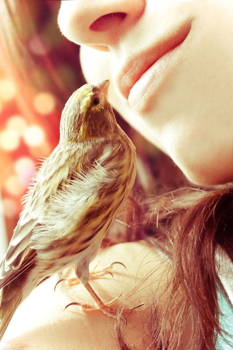 Не поётся мне песен весёлых...