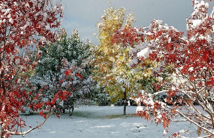 Зима пришла, когда не ждали