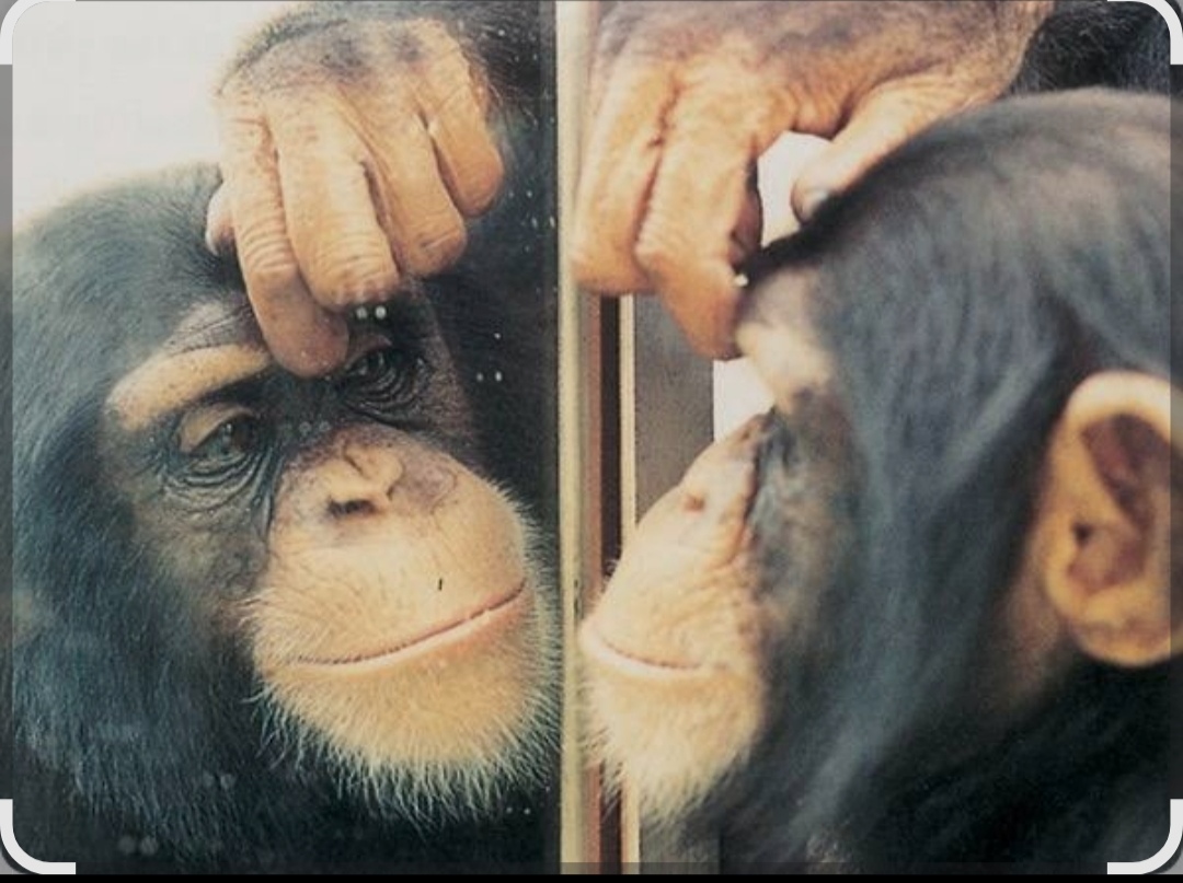 Себя ты так и не узнал