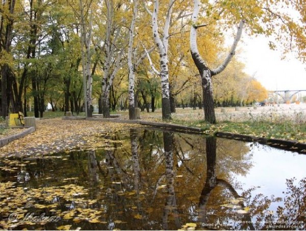 Октябрь сегодня в нашем доме