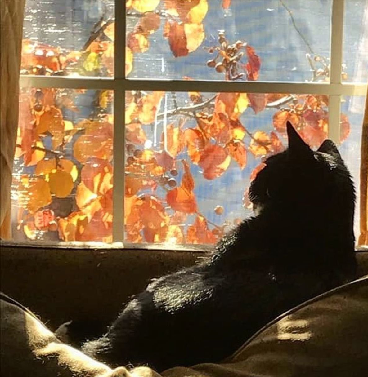 Дух остался летний... голову морочит