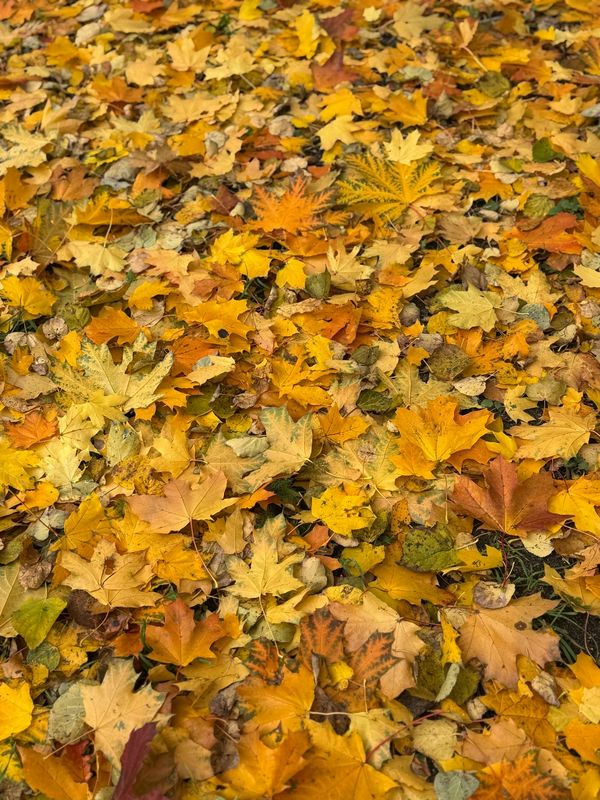 Время есть приходить и прощаться есть время