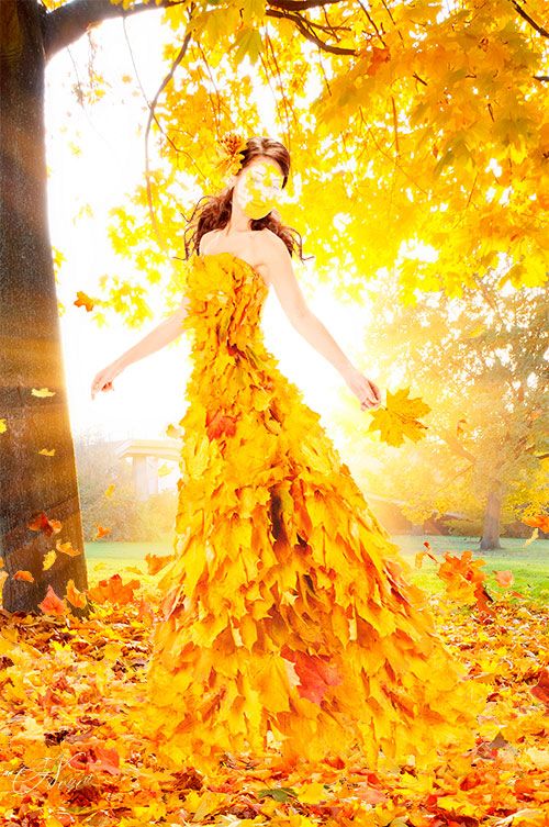 Осень в кронах