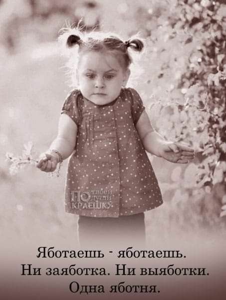 яботай