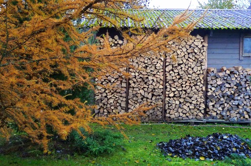 Человек осенний. Конкурс сэнрю