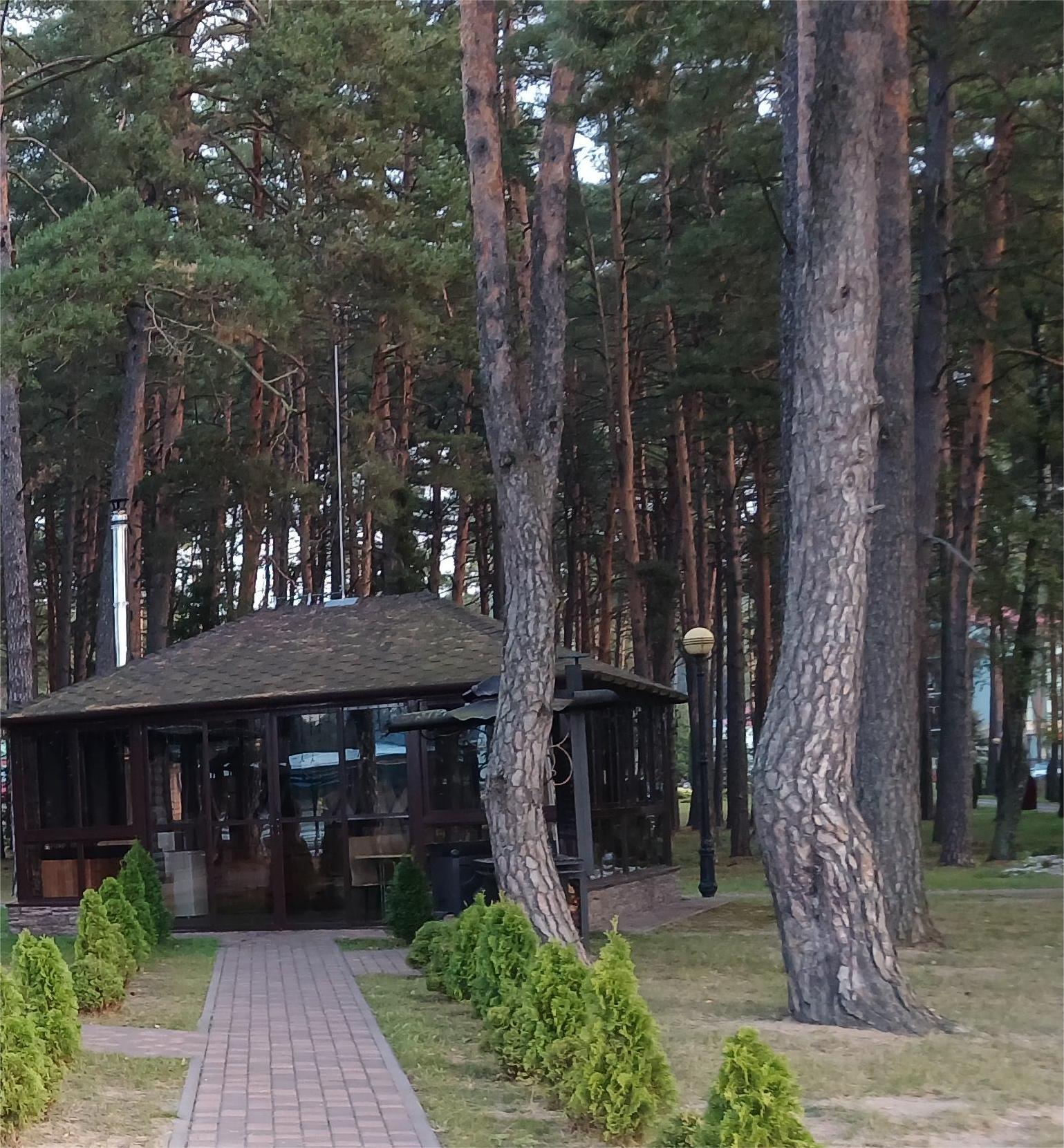 Приходит осень