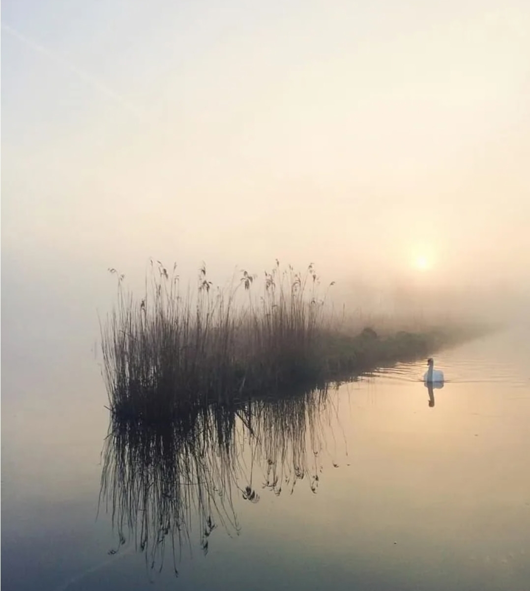 Тихое место