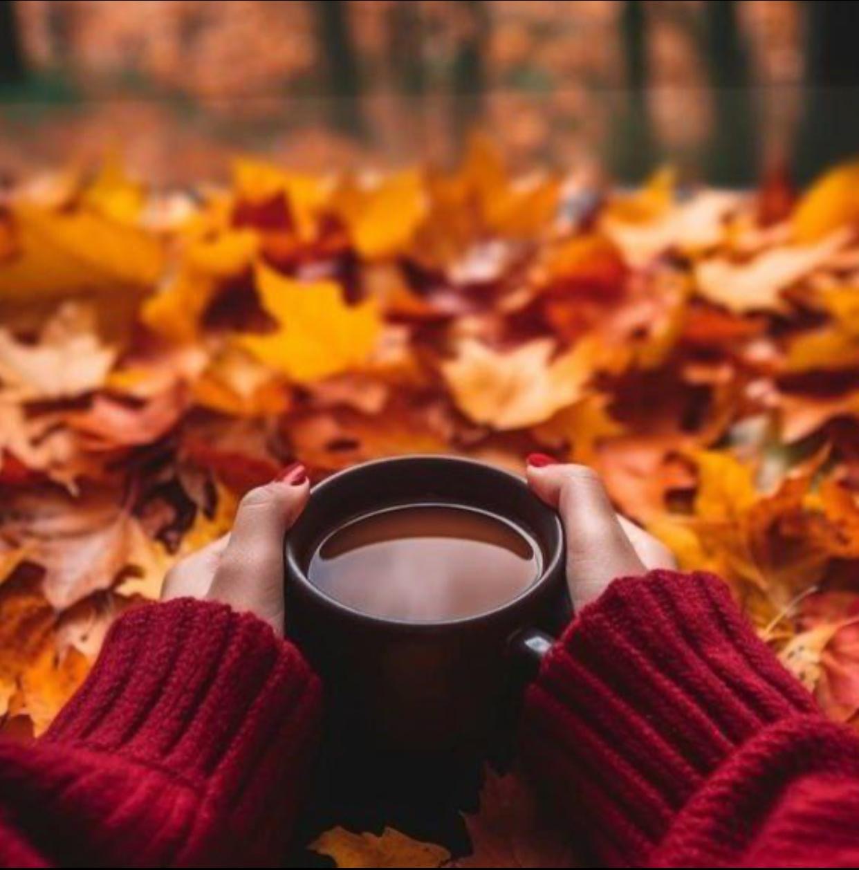 Лишние слова