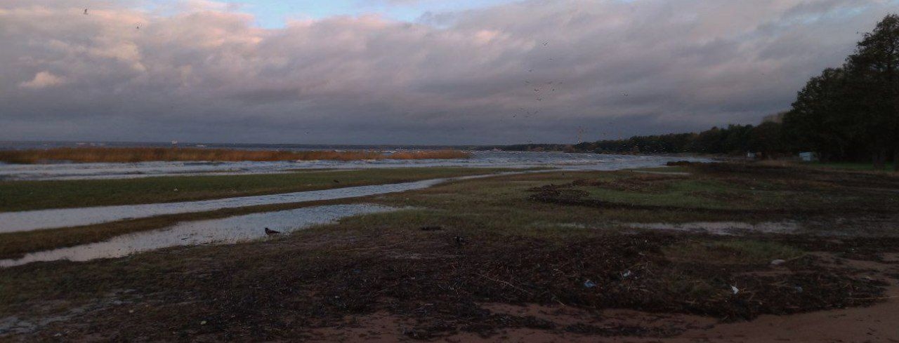 16 листопада - Дионис Лихорадки Осенние