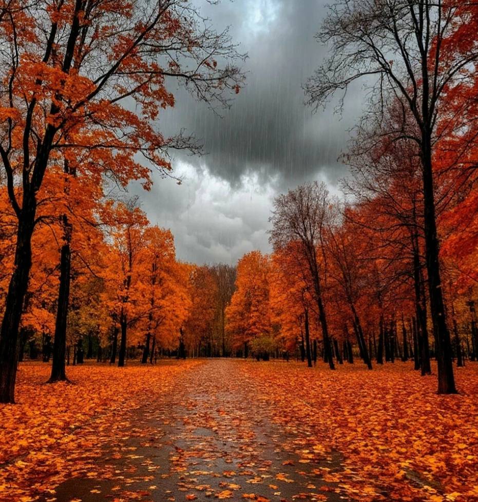 Осень вступила в права