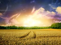 златокудрая