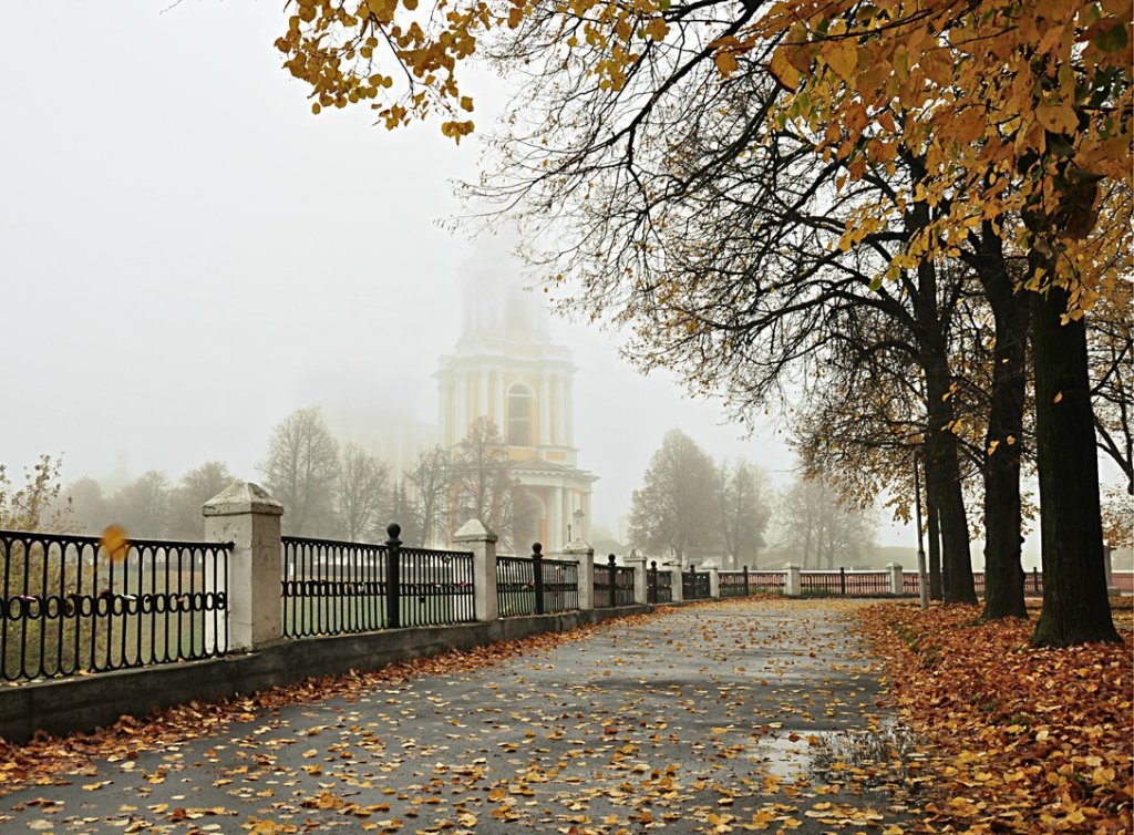 Ветер, дождь и осень