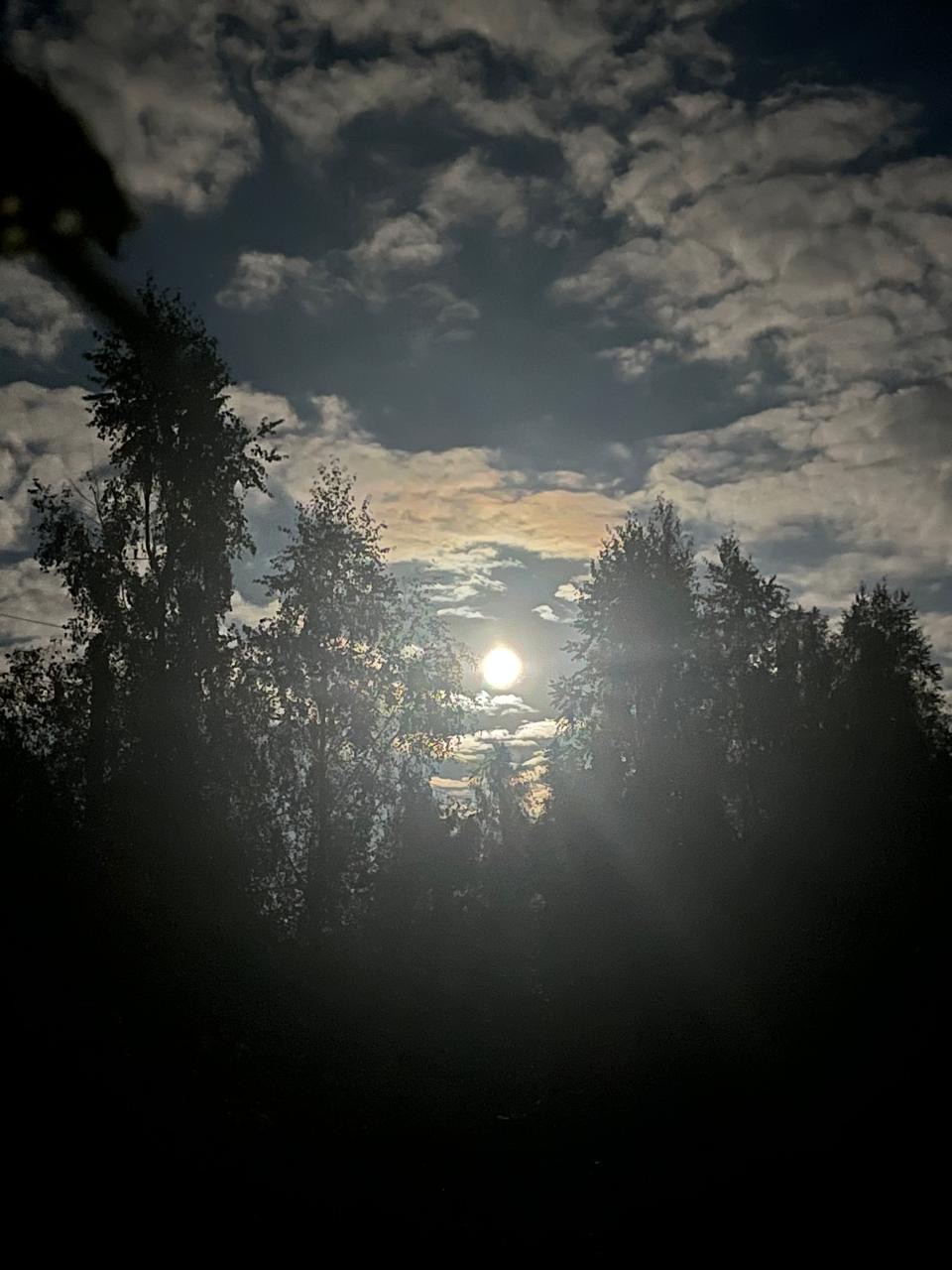 Душа нараспашку