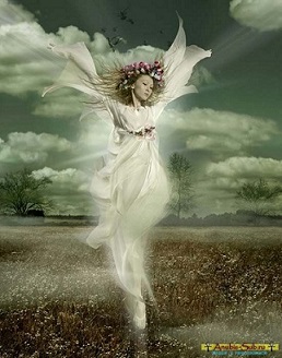 Света небесного - сияние...