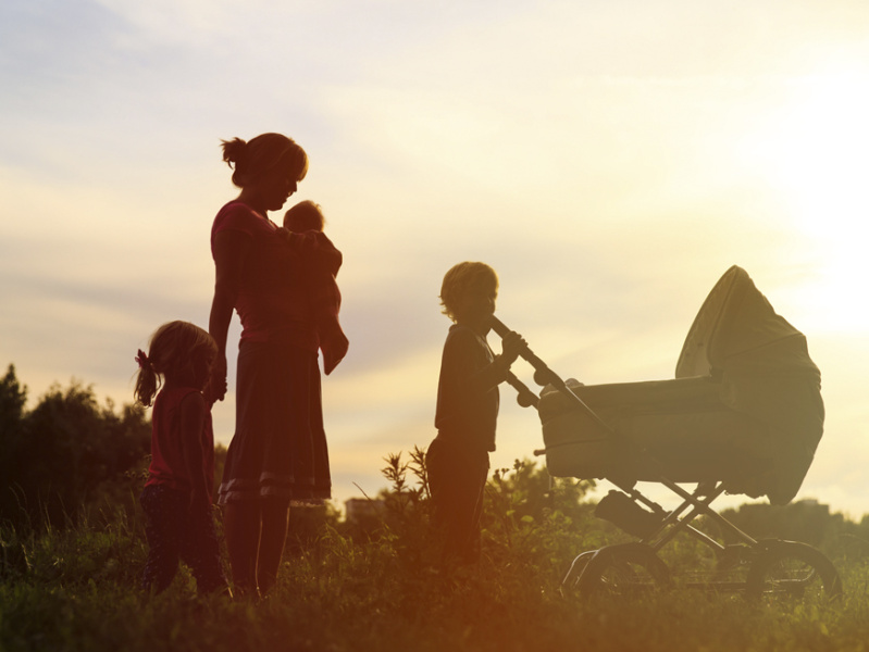 Курицу учат