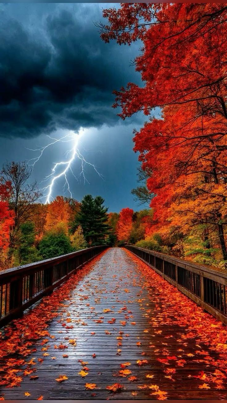 Осенняя симфония