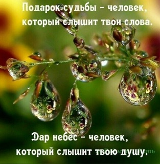 Капельками нежности слова