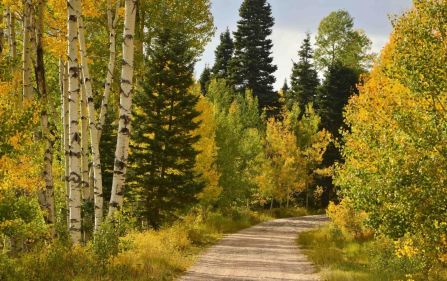 Начало сентября ещё не осень Англ. зак Начало сентября ещё не осень Англ. зак