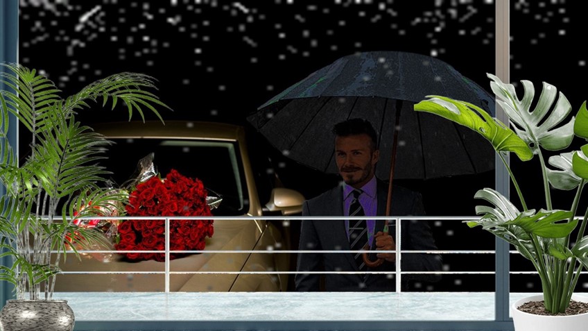 Метаморфозы осеннего ненастья