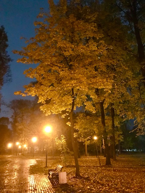 Красавица - Осень