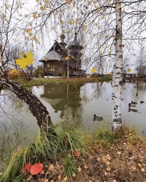 Мой комментарий на стихотворение Юрия Старухина Се