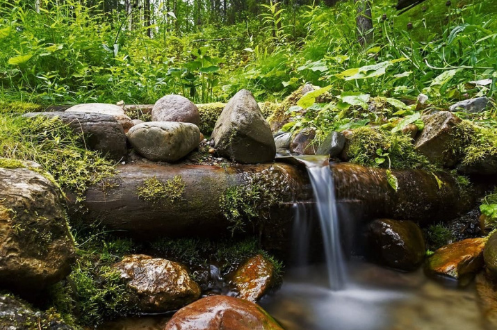 Мой родник!